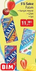 FALIM  5’Lİ SAKIZ